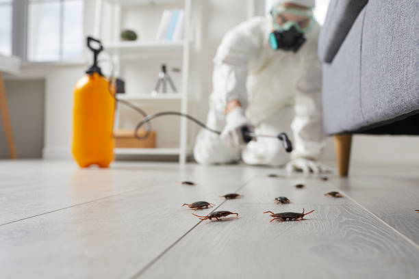 Commercial Kitchen Cockroach Control in Schererville